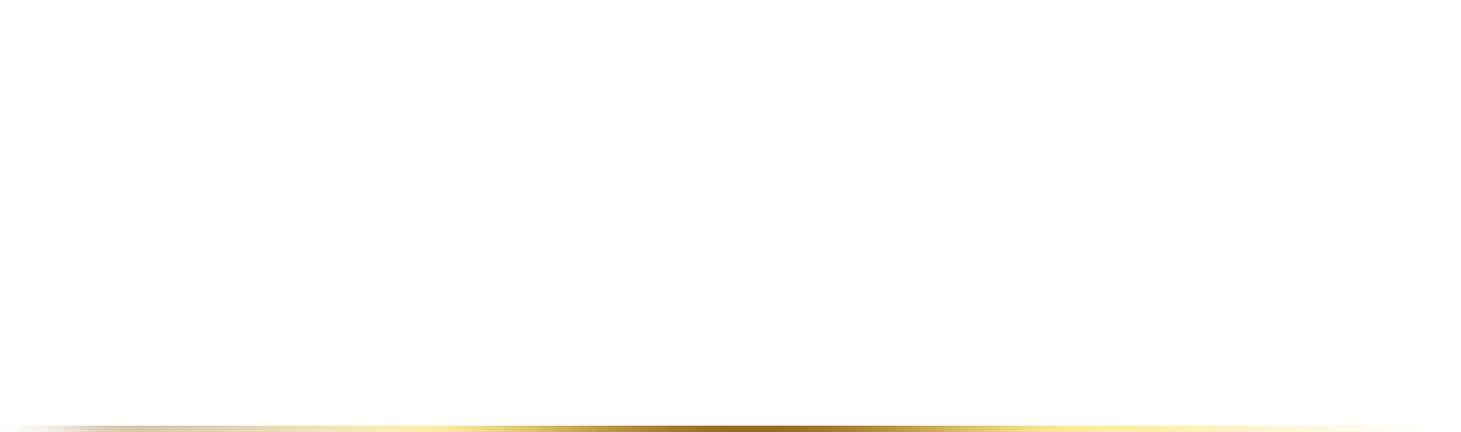 MegaPayz Kripto